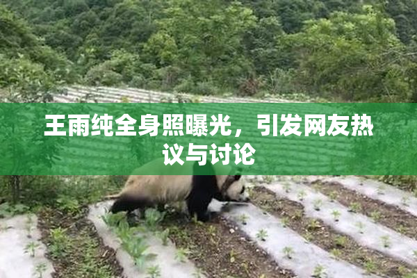 王雨纯全身照曝光，引发网友热议与讨论