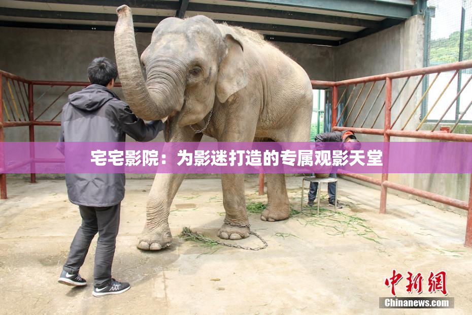宅宅影院：为影迷打造的专属观影天堂