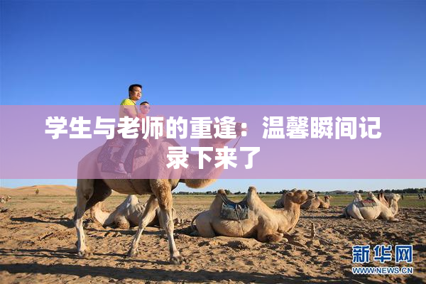 学生与老师的重逢：温馨瞬间记录下来了