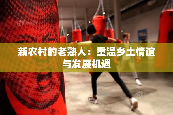 新农村的老熟人：重温乡土情谊与发展机遇