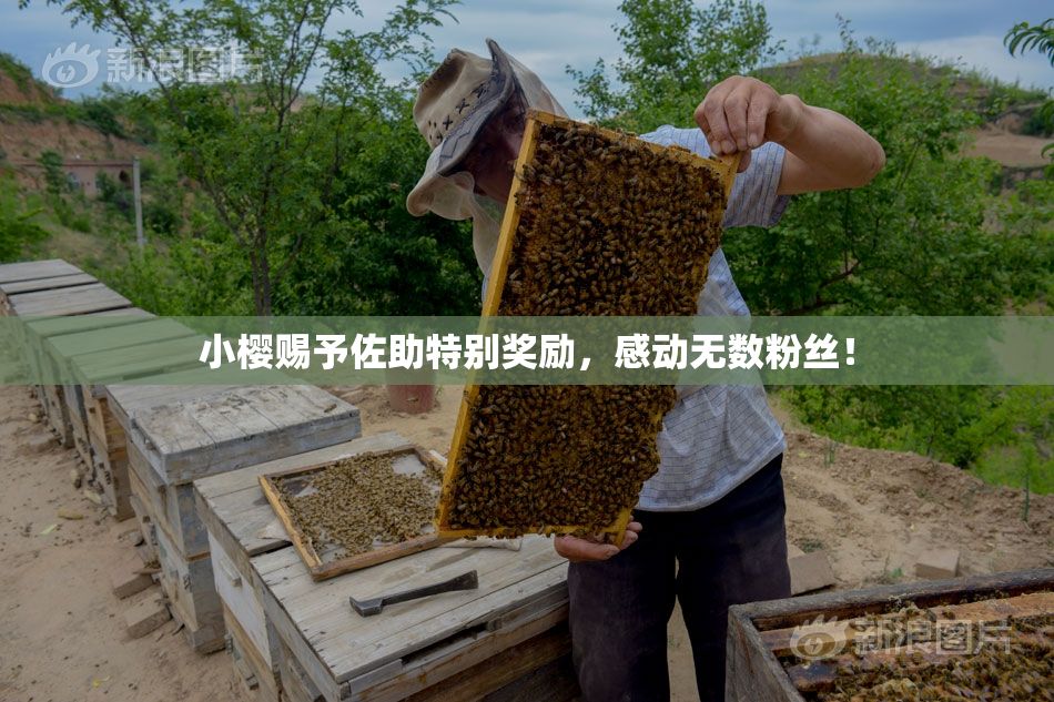 小樱赐予佐助特别奖励，感动无数粉丝！