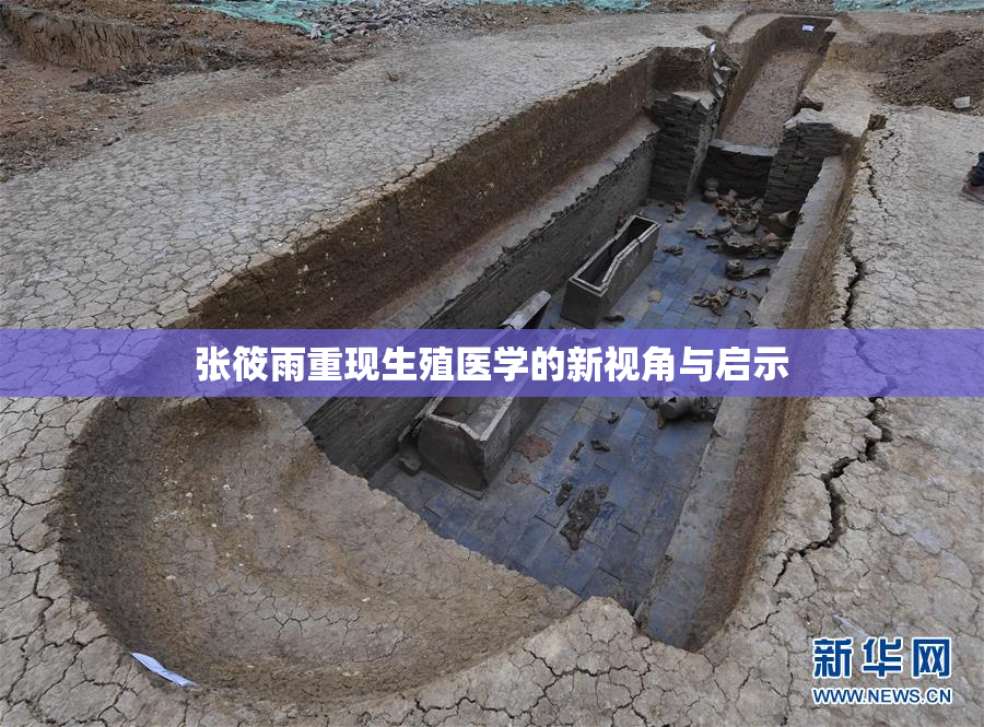 张筱雨重现生殖医学的新视角与启示