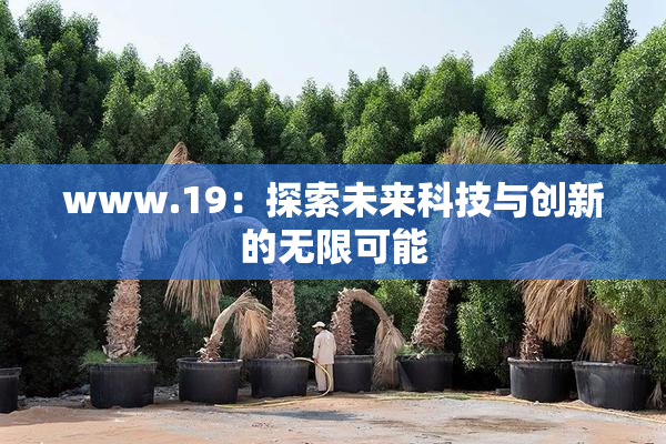 www.19：探索未来科技与创新的无限可能