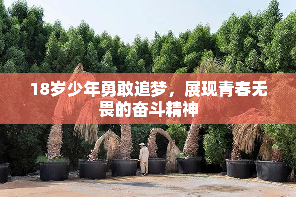 18岁少年勇敢追梦，展现青春无畏的奋斗精神