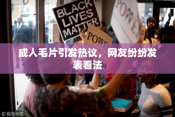 成人毛片引发热议，网友纷纷发表看法