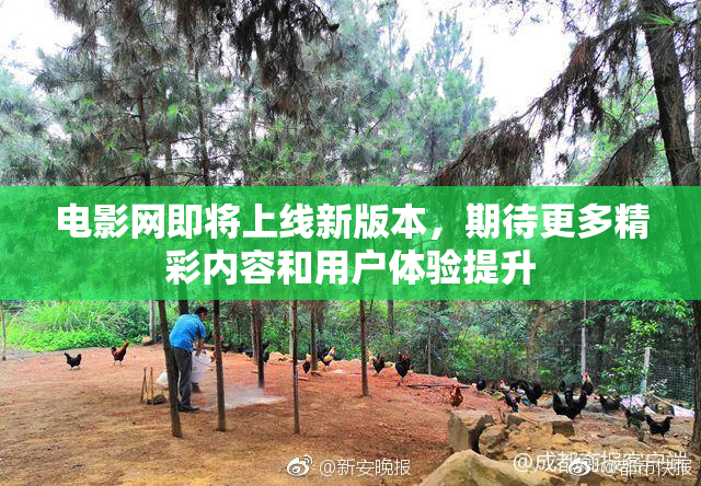 电影网即将上线新版本，期待更多精彩内容和用户体验提升