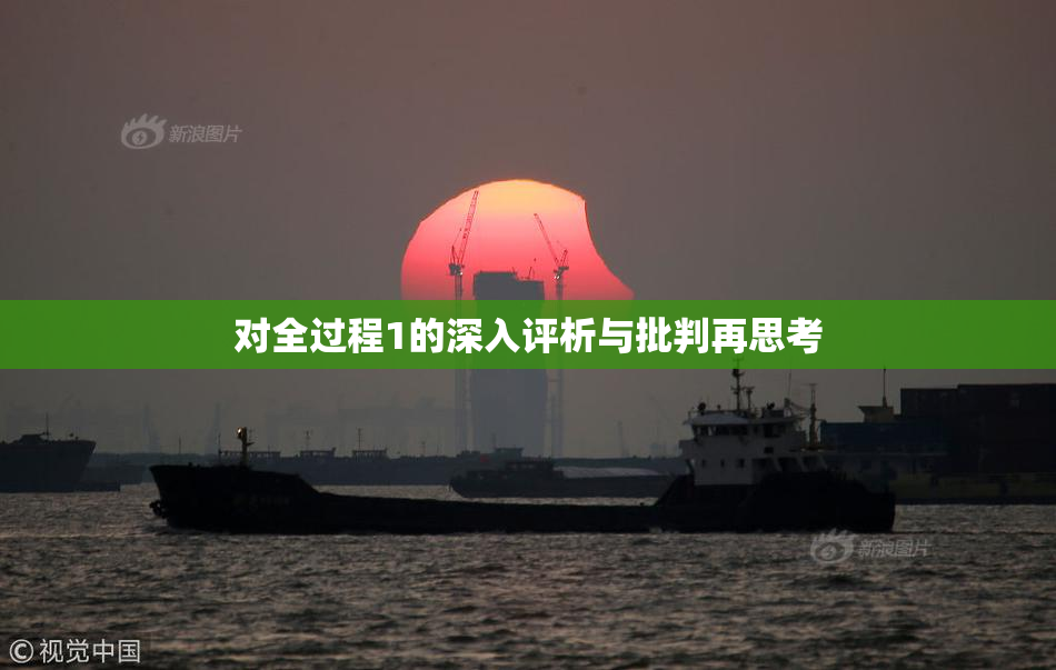 对全过程1的深入评析与批判再思考