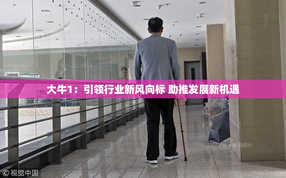 大牛1：引领行业新风向标 助推发展新机遇