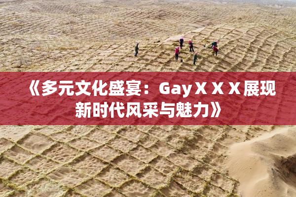 《多元文化盛宴：GayⅩⅩⅩ展现新时代风采与魅力》