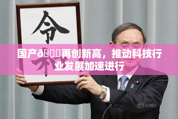 国产🔞再创新高，推动科技行业发展加速进行