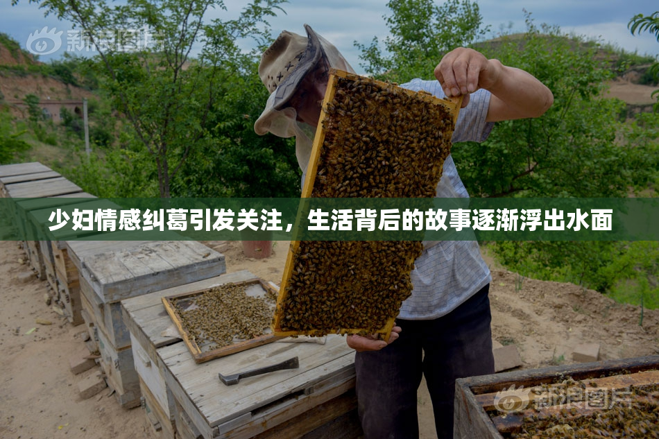 少妇情感纠葛引发关注，生活背后的故事逐渐浮出水面