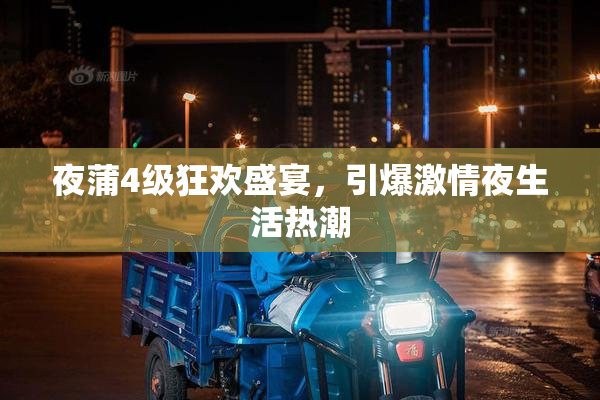 夜蒲4级狂欢盛宴，引爆激情夜生活热潮