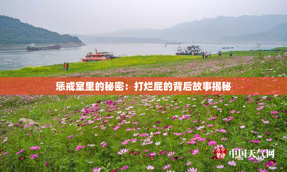 惩戒室里的秘密：打烂屁的背后故事揭秘