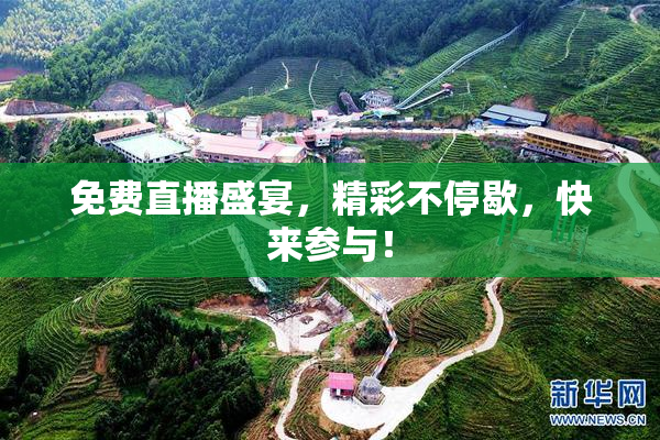 免费直播盛宴，精彩不停歇，快来参与！