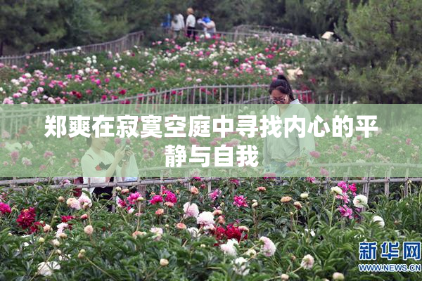 郑爽在寂寞空庭中寻找内心的平静与自我
