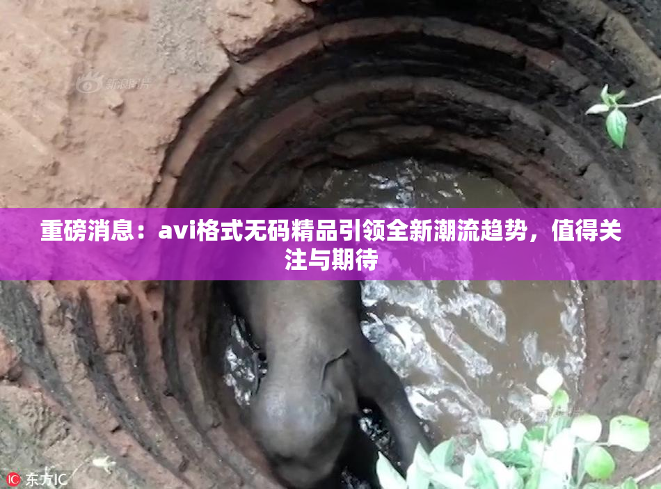 重磅消息：avi格式无码精品引领全新潮流趋势，值得关注与期待