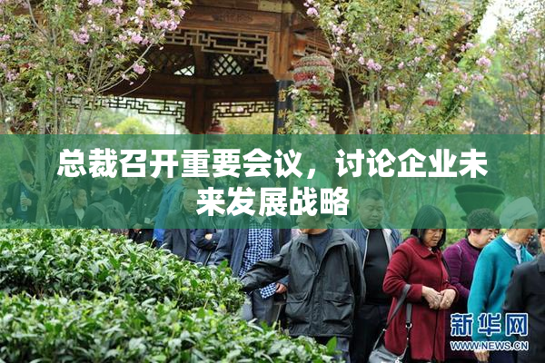 总裁召开重要会议，讨论企业未来发展战略