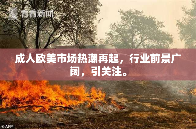 成人欧美市场热潮再起，行业前景广阔，引关注。