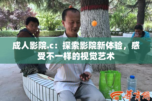 成人影院.c：探索影院新体验，感受不一样的视觉艺术