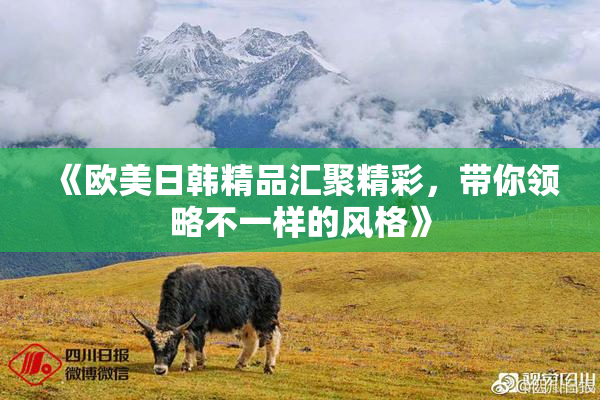 《欧美日韩精品汇聚精彩，带你领略不一样的风格》