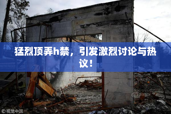 猛烈顶弄h禁，引发激烈讨论与热议！