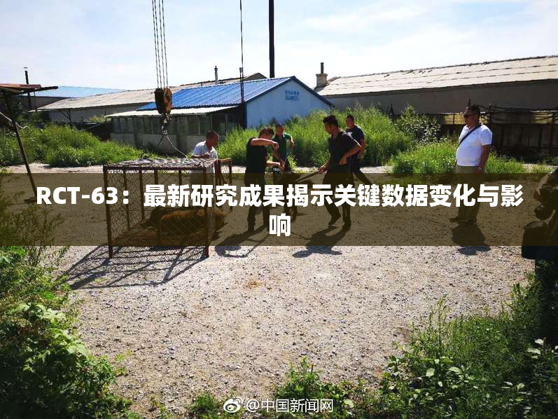 RCT-63：最新研究成果揭示关键数据变化与影响