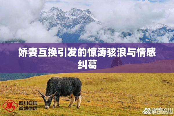 娇妻互换引发的惊涛骇浪与情感纠葛