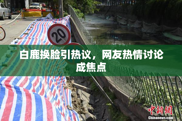 白鹿换脸引热议，网友热情讨论成焦点