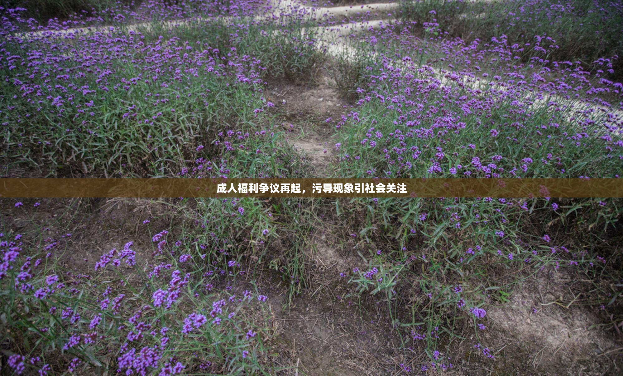 成人福利争议再起，污导现象引社会关注