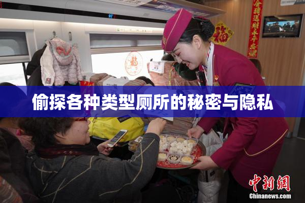 偷探各种类型厕所的秘密与隐私