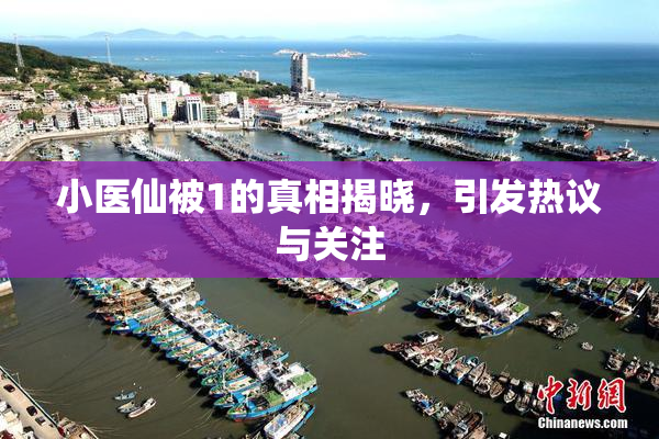 小医仙被1的真相揭晓，引发热议与关注