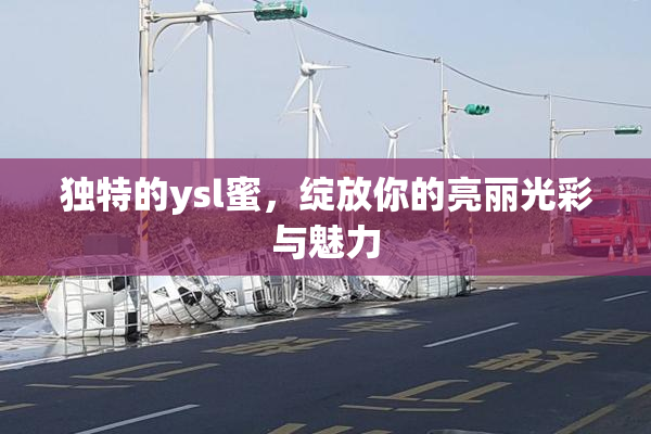 独特的ysl蜜，绽放你的亮丽光彩与魅力