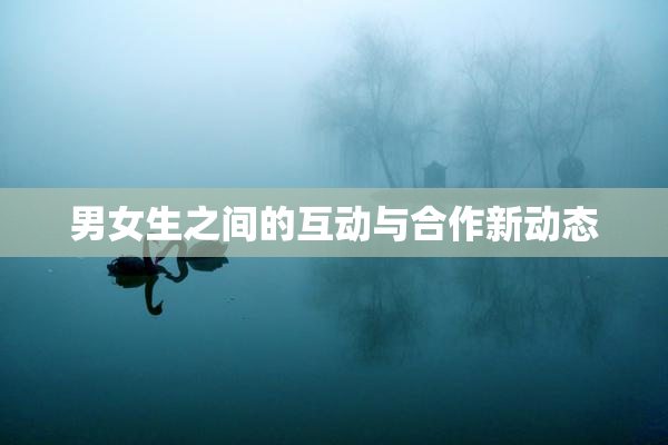 男女生之间的互动与合作新动态