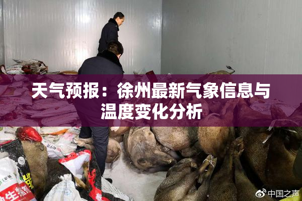天气预报：徐州最新气象信息与温度变化分析