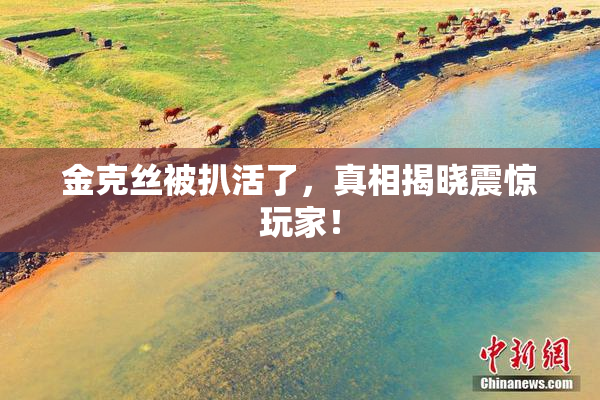 金克丝被扒活了，真相揭晓震惊玩家！