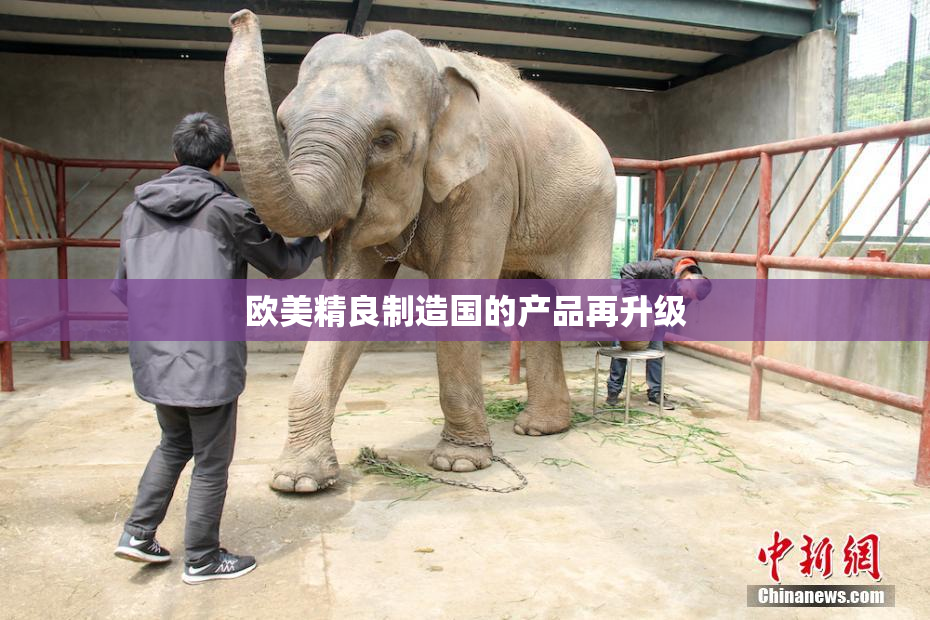 欧美精良制造国的产品再升级