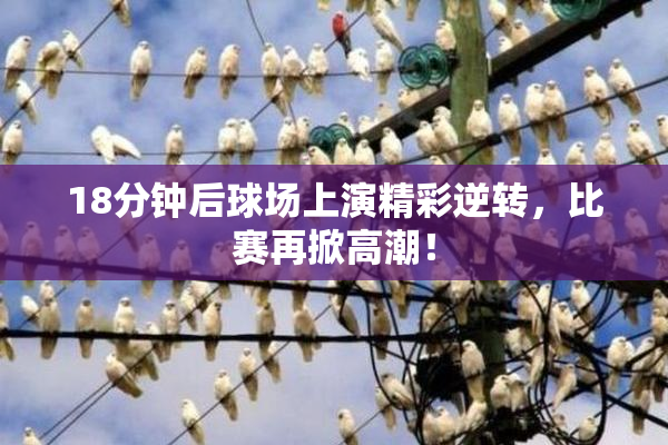 18分钟后球场上演精彩逆转，比赛再掀高潮！