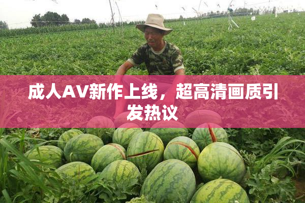 成人AV新作上线，超高清画质引发热议