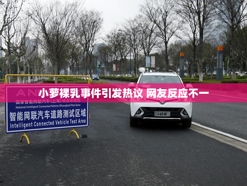 小萝裸乳事件引发热议 网友反应不一