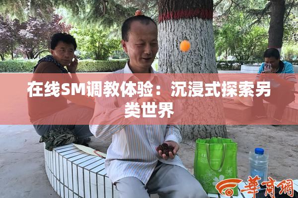 在线SM调教体验：沉浸式探索另类世界