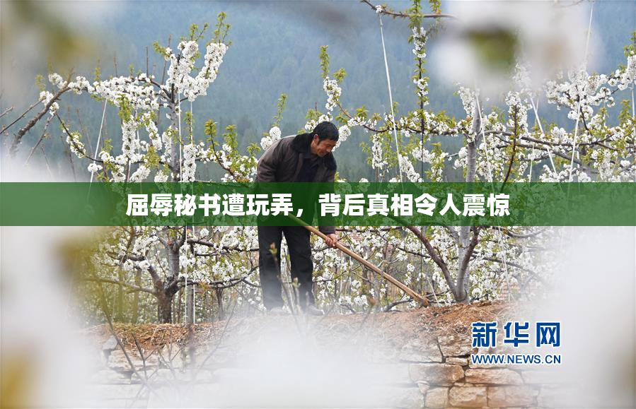 屈辱秘书遭玩弄，背后真相令人震惊