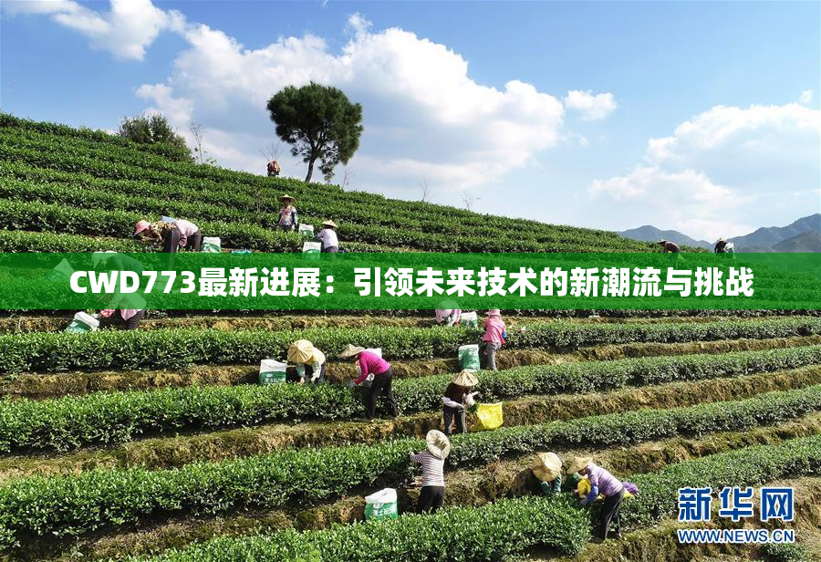 CWD773最新进展：引领未来技术的新潮流与挑战