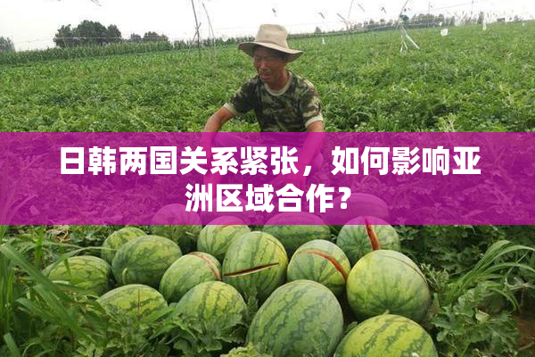 日韩两国关系紧张，如何影响亚洲区域合作？