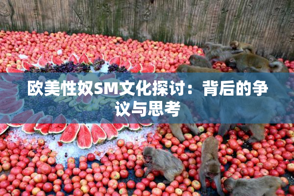 欧美性奴SM文化探讨：背后的争议与思考
