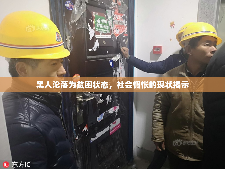 黑人沦落为贫困状态，社会惆怅的现状揭示