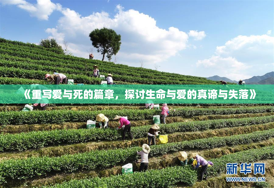 《重写爱与死的篇章，探讨生命与爱的真谛与失落》