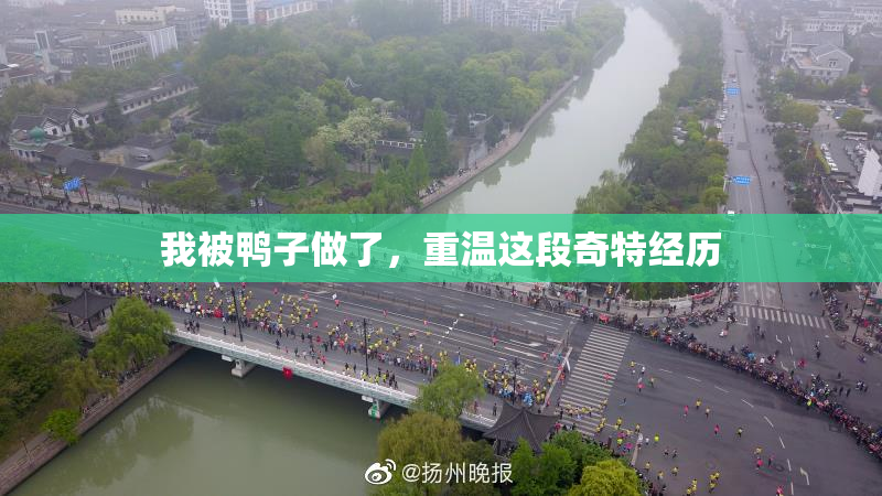 我被鸭子做了，重温这段奇特经历