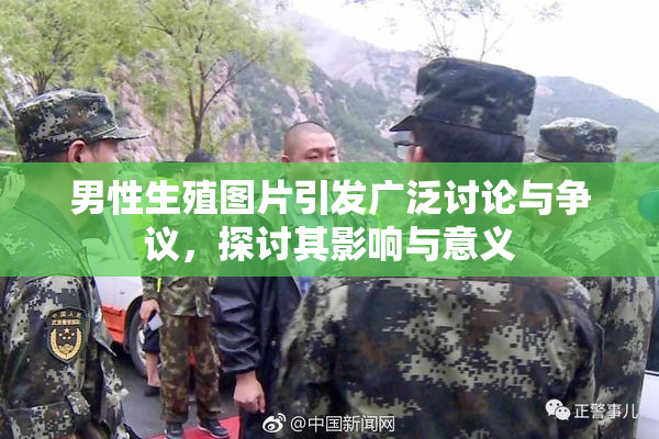 男性生殖图片引发广泛讨论与争议，探讨其影响与意义