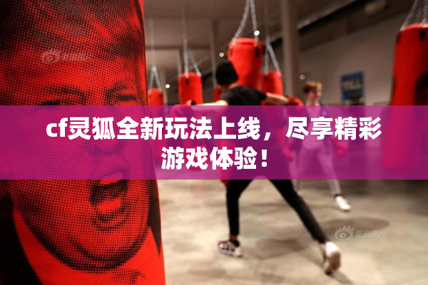 cf灵狐全新玩法上线，尽享精彩游戏体验！