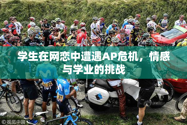 学生在网恋中遭遇AP危机，情感与学业的挑战